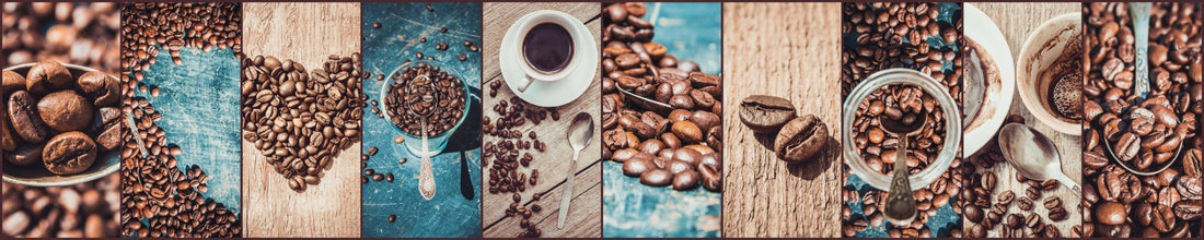 Mastering Specialty Coffees A Flavor Profile Guide - Rayana Roast | Specialty Coffee