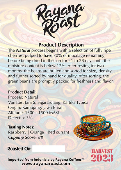 Java | Natural Arabica | Rare