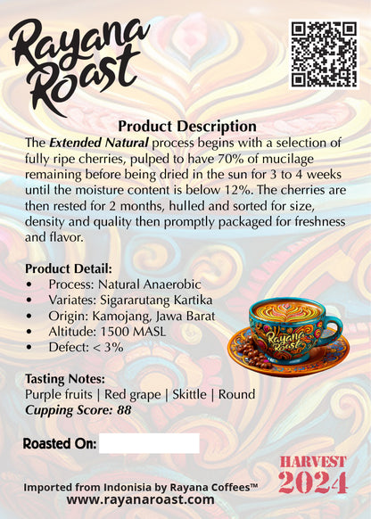 Java | Extended Natural Arabica | Microlot