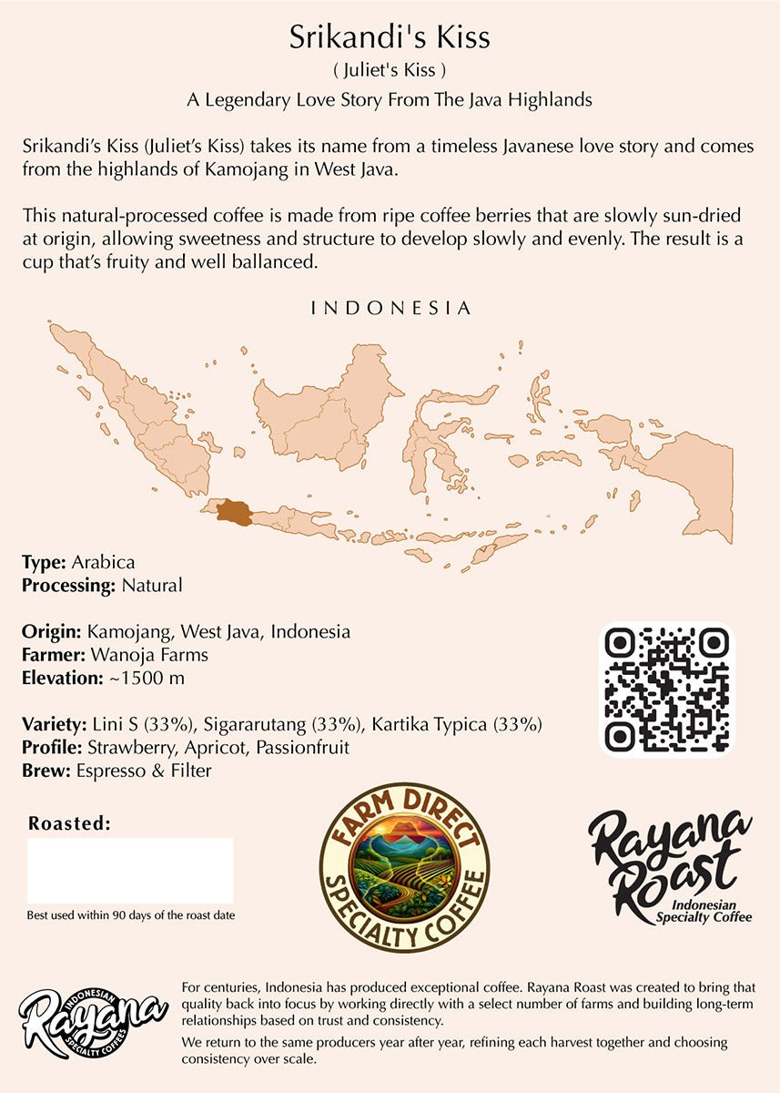 Java Natural ☕️ Arabica Coffee | Srikandi's Kiss 💋 - Rayana Roast | Specialty Coffee