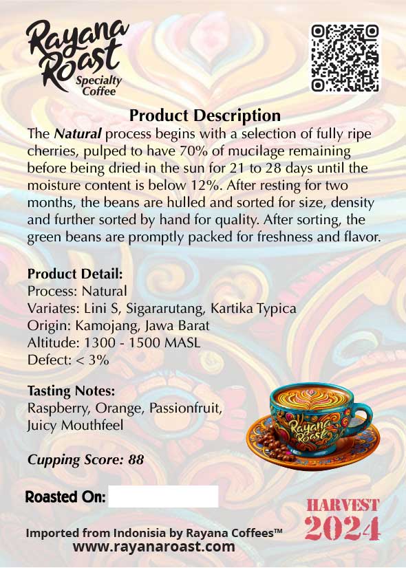 Java | Natural Arabica | Rare - Rayana Roast | Specialty Coffee
