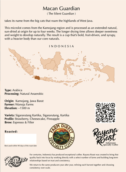 Macan Guardian | Arabica | Extended Natural - Rayana Roast | Specialty Coffee
